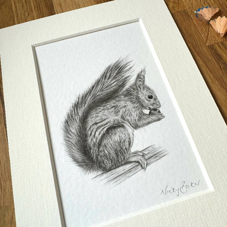Red Squirrel art print size 6 - Image 2
