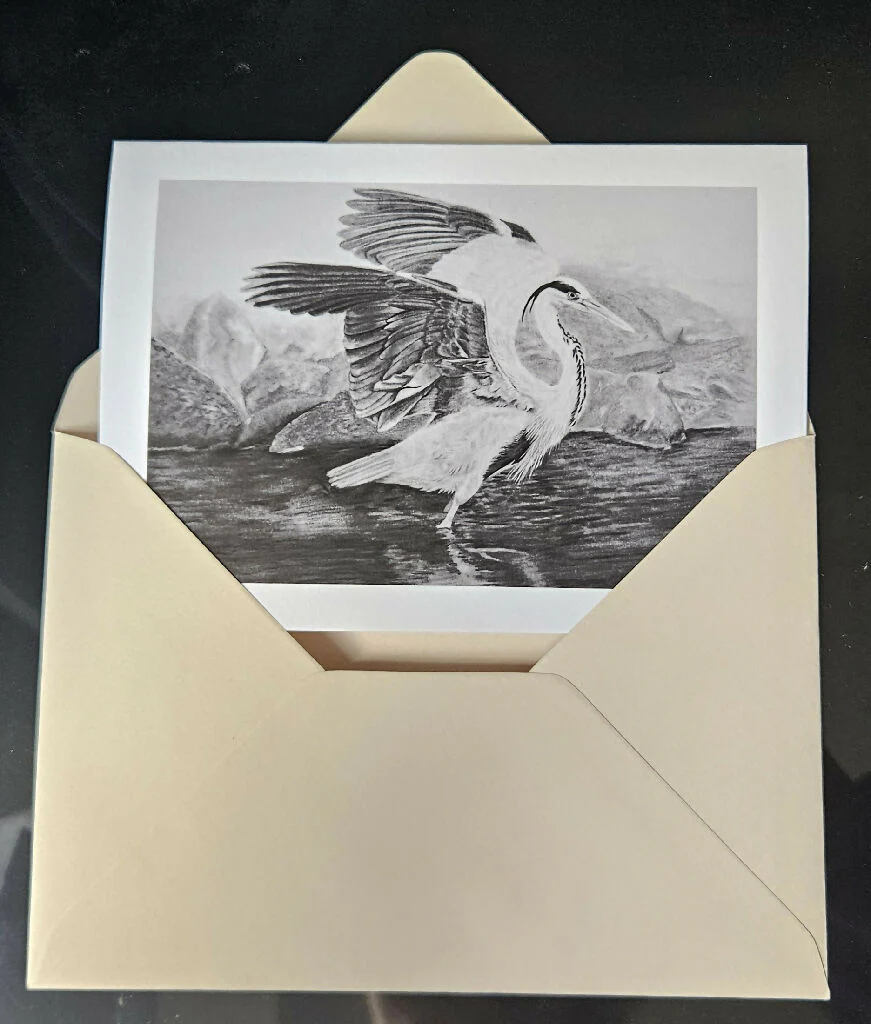 Riverbank birds greetins card set, A6 size, assorted envelope colours - Image 2