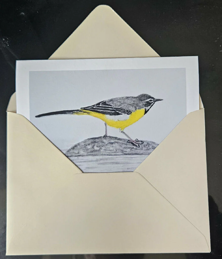 Riverbank birds greetins card set, A6 size, assorted envelope colours - Image 5
