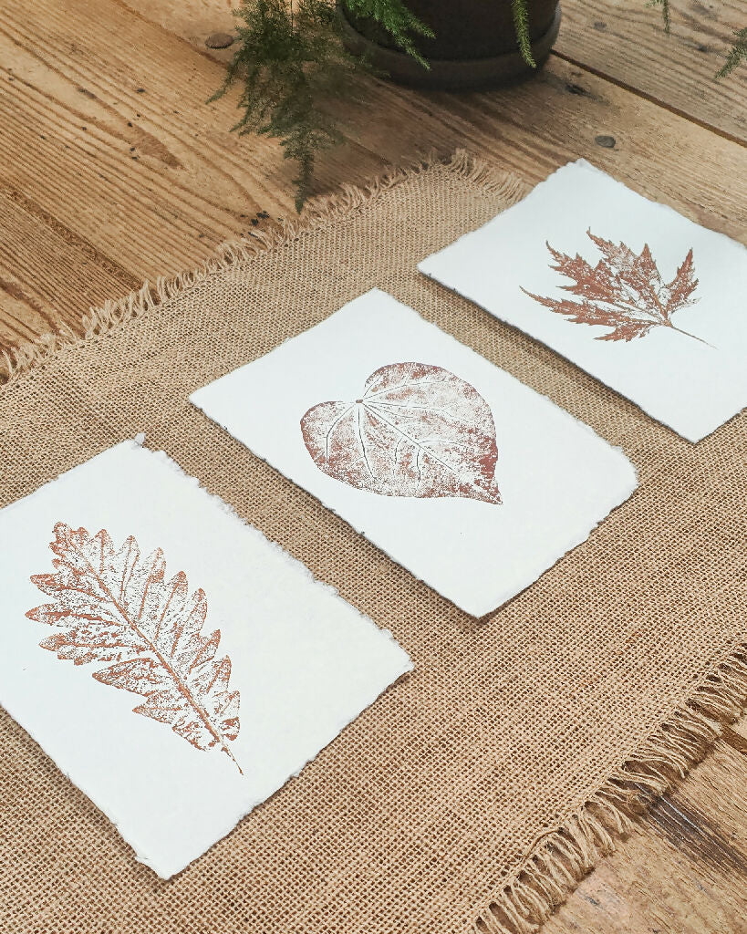 Set of 3 Maple and Oak Original Leaf Prints - Image 2