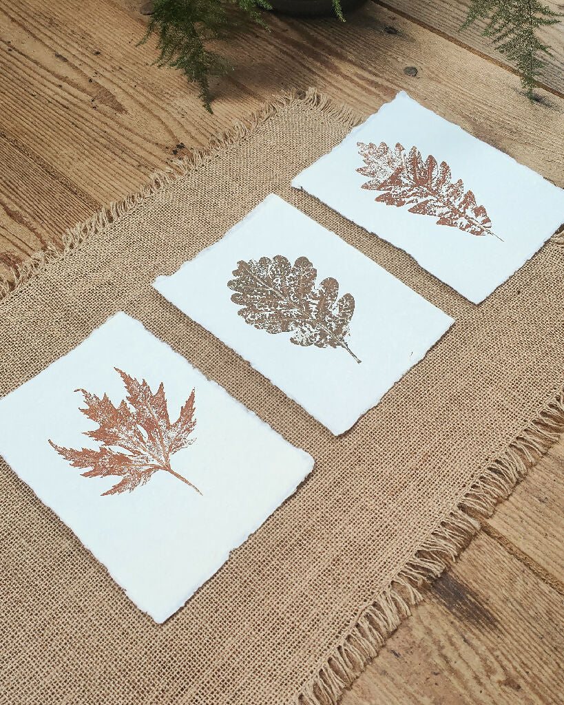 Set of 3 Original Mixed Leaf Prints - Image 2