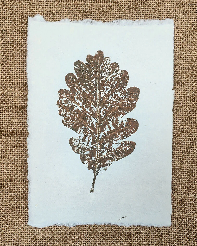 Set of 3 Original Mixed Leaf Prints - Image 4