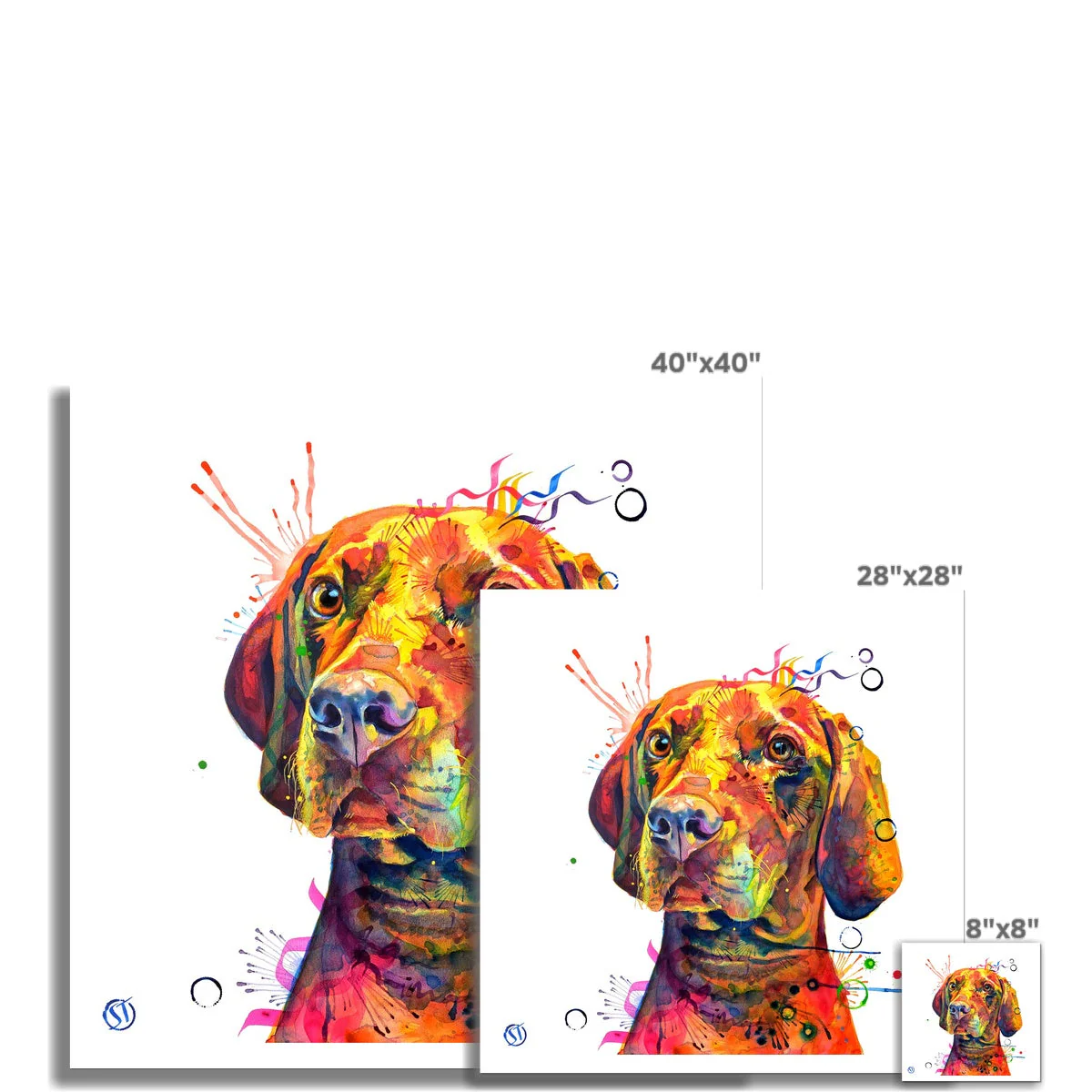 Shilo the Vizsla Fine Art Print - Image 3