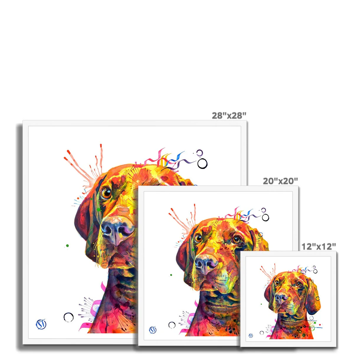 Shilo the Vizsla Framed Print - Image 10