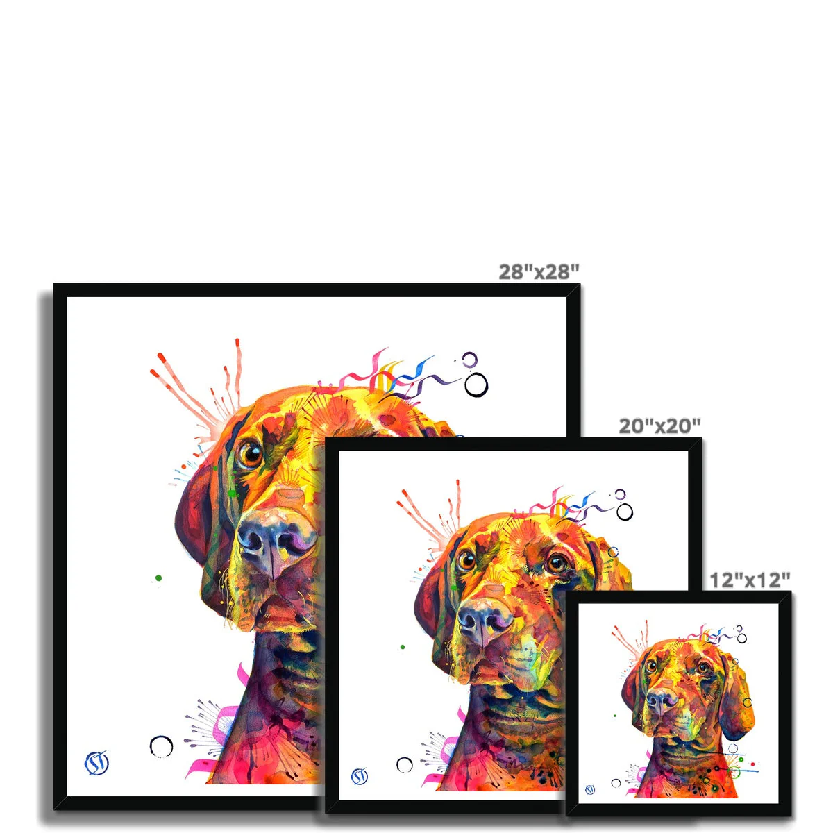 Shilo the Vizsla Framed Print - Image 11