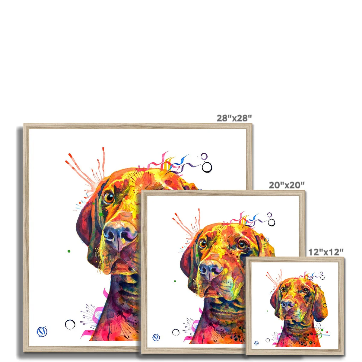 Shilo the Vizsla Framed Print - Image 12