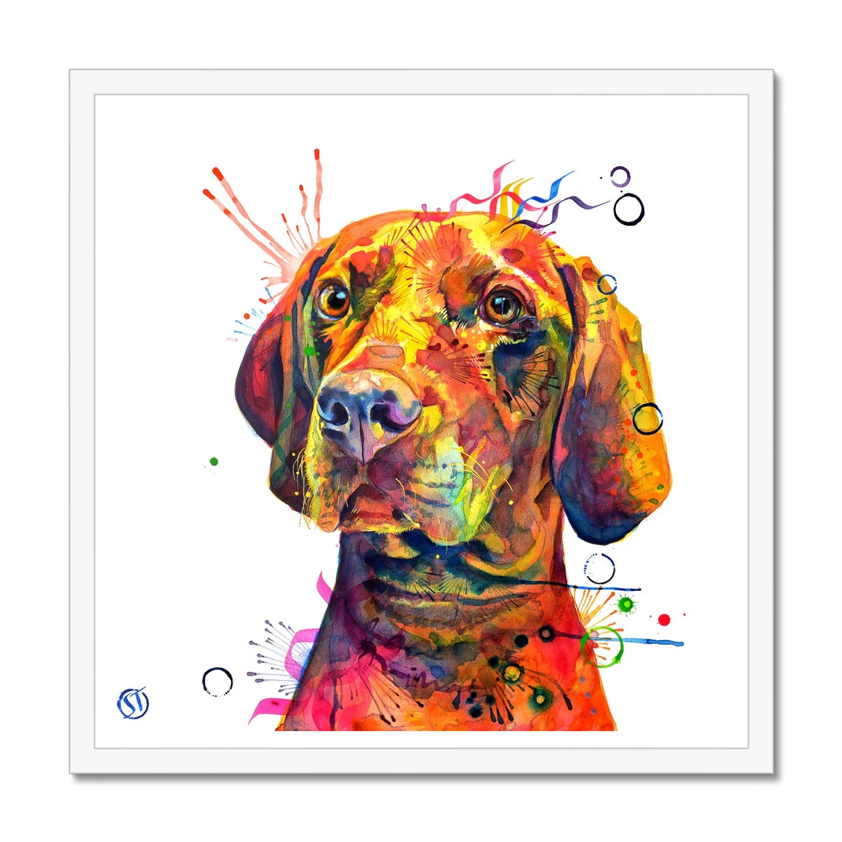 Shilo the Vizsla Framed Print - Image 2