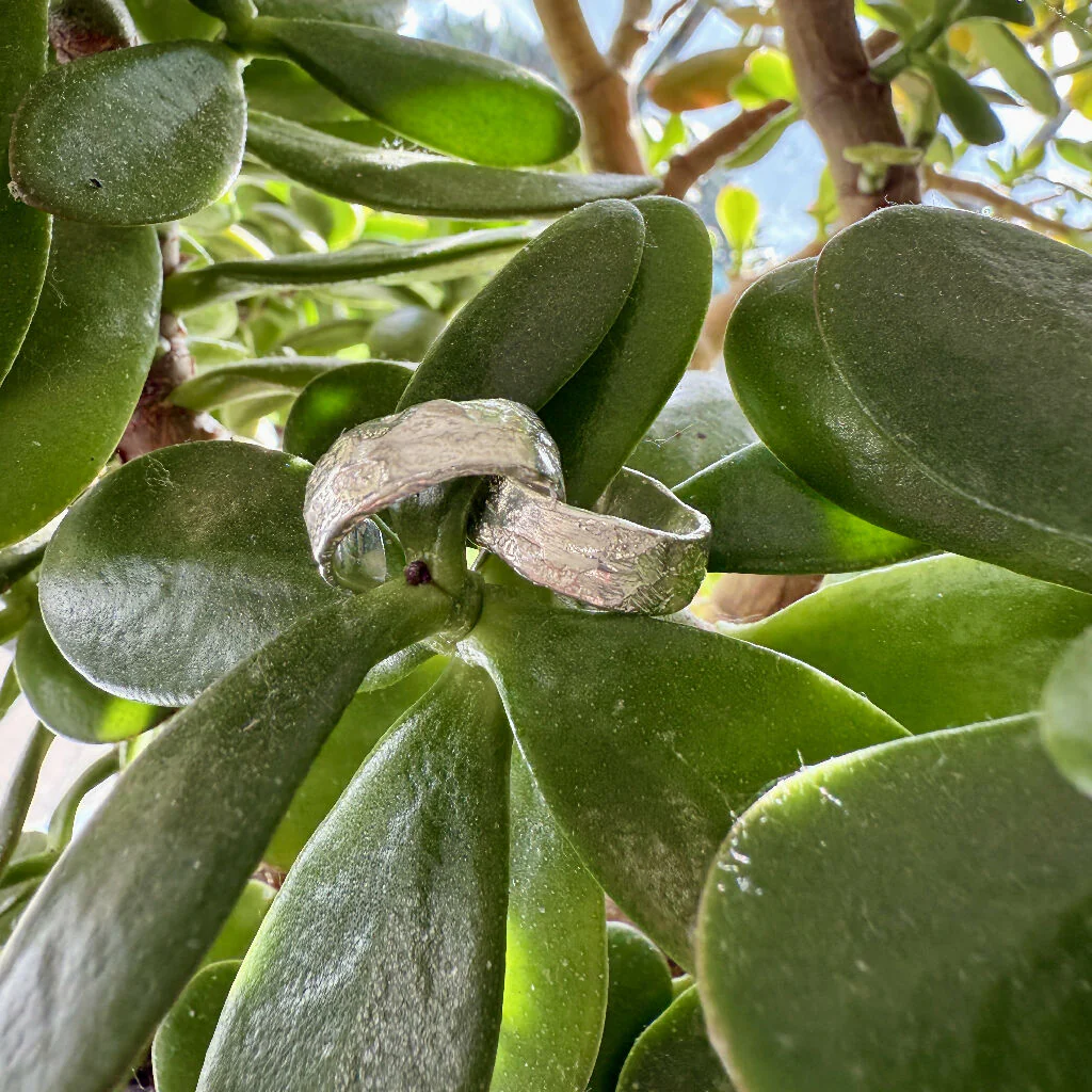 Silver Quarry Hoops