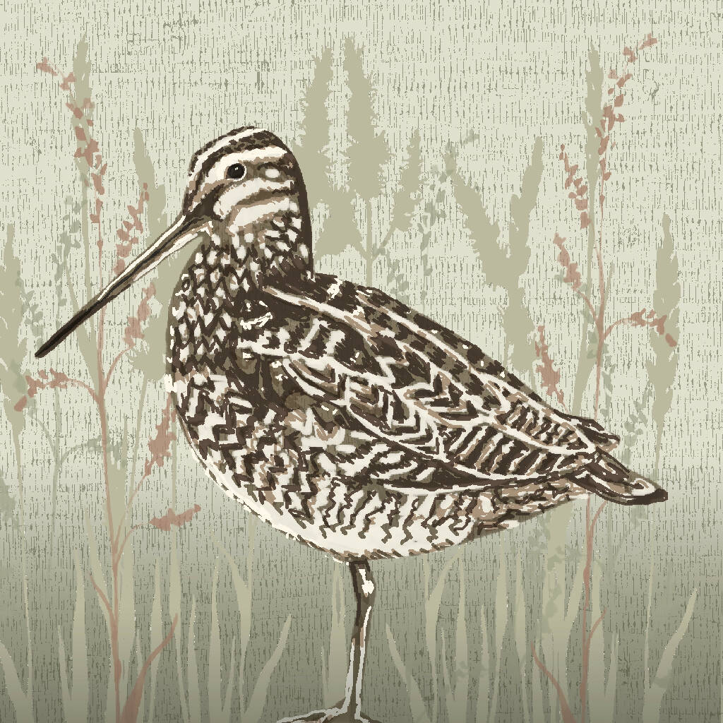 Snipe -Signed and mounted Giclée Art Print - Image 5