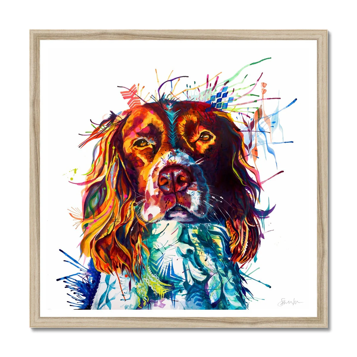 Spruce the Springer Spaniel Framed Print - Image 3