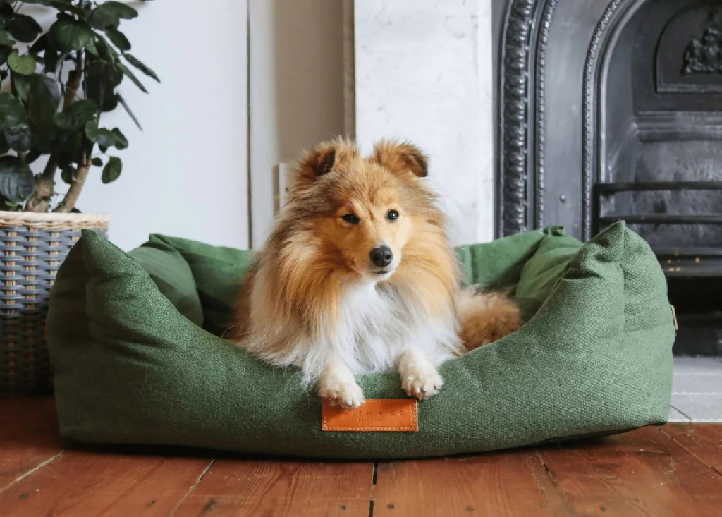 Luxury Green Dog Bed With Removable Covers | Richmond - Image 2