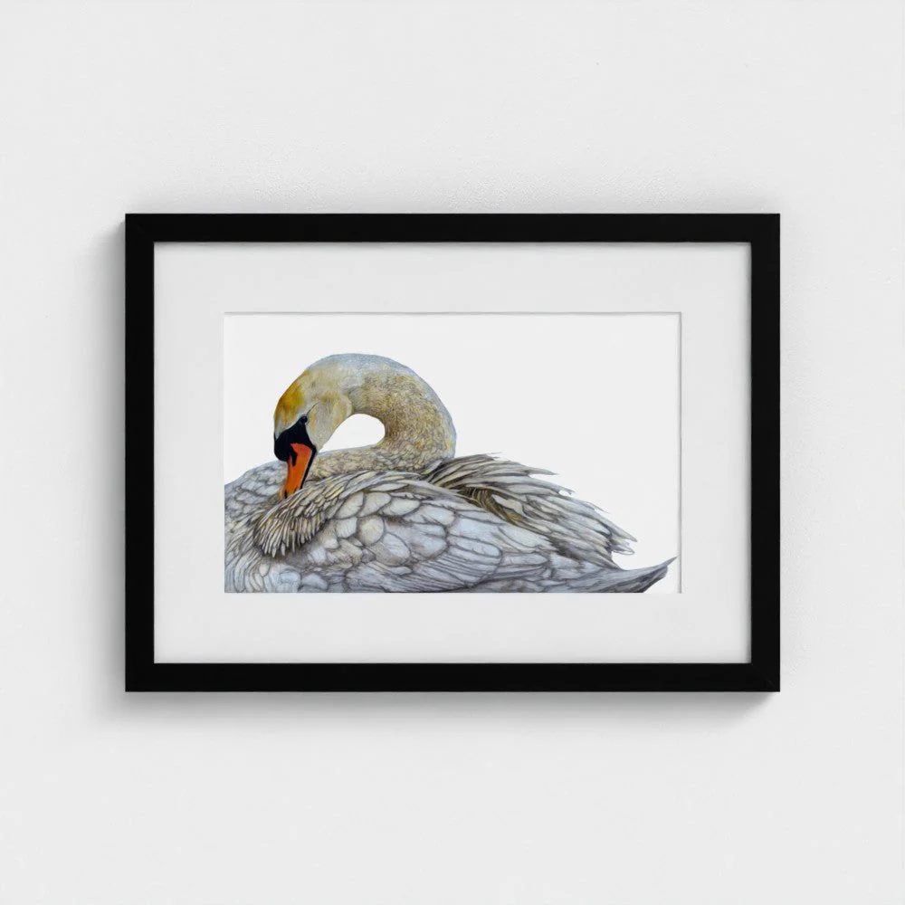 Swan Print - Image 10