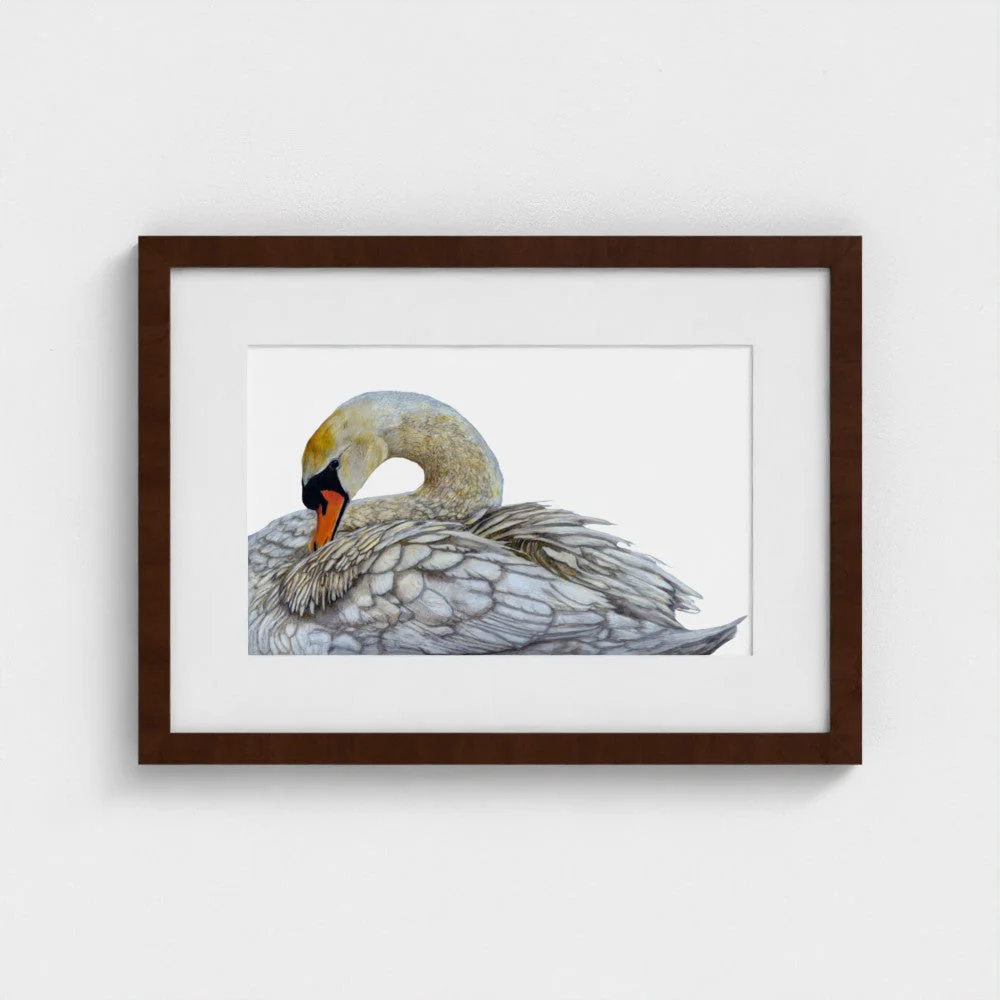 Swan Print - Image 11
