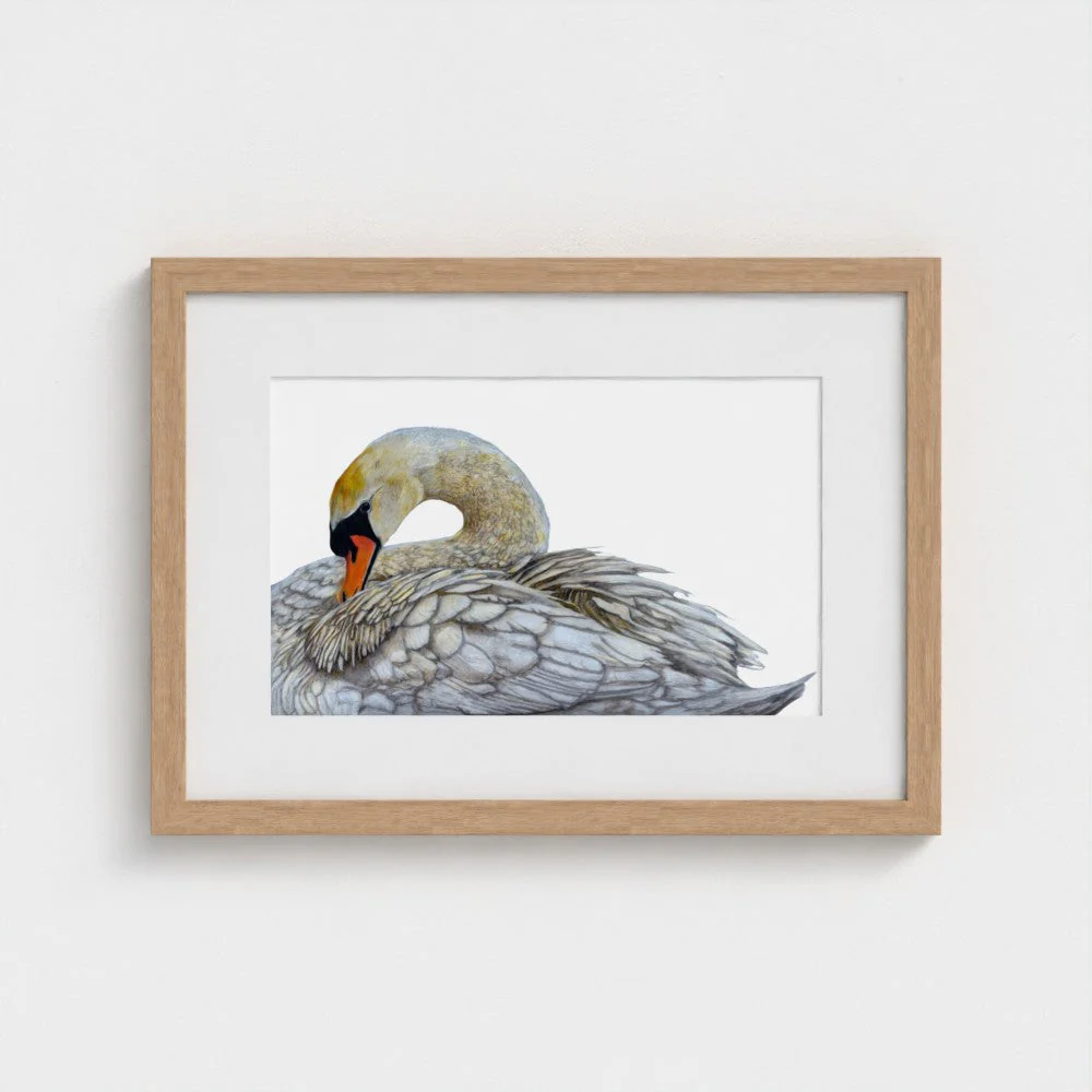 Swan Print - Image 12