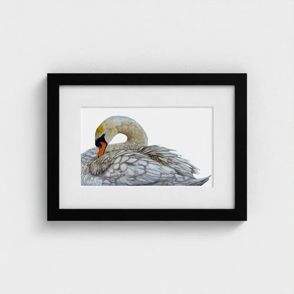 Swan Print - Image 13