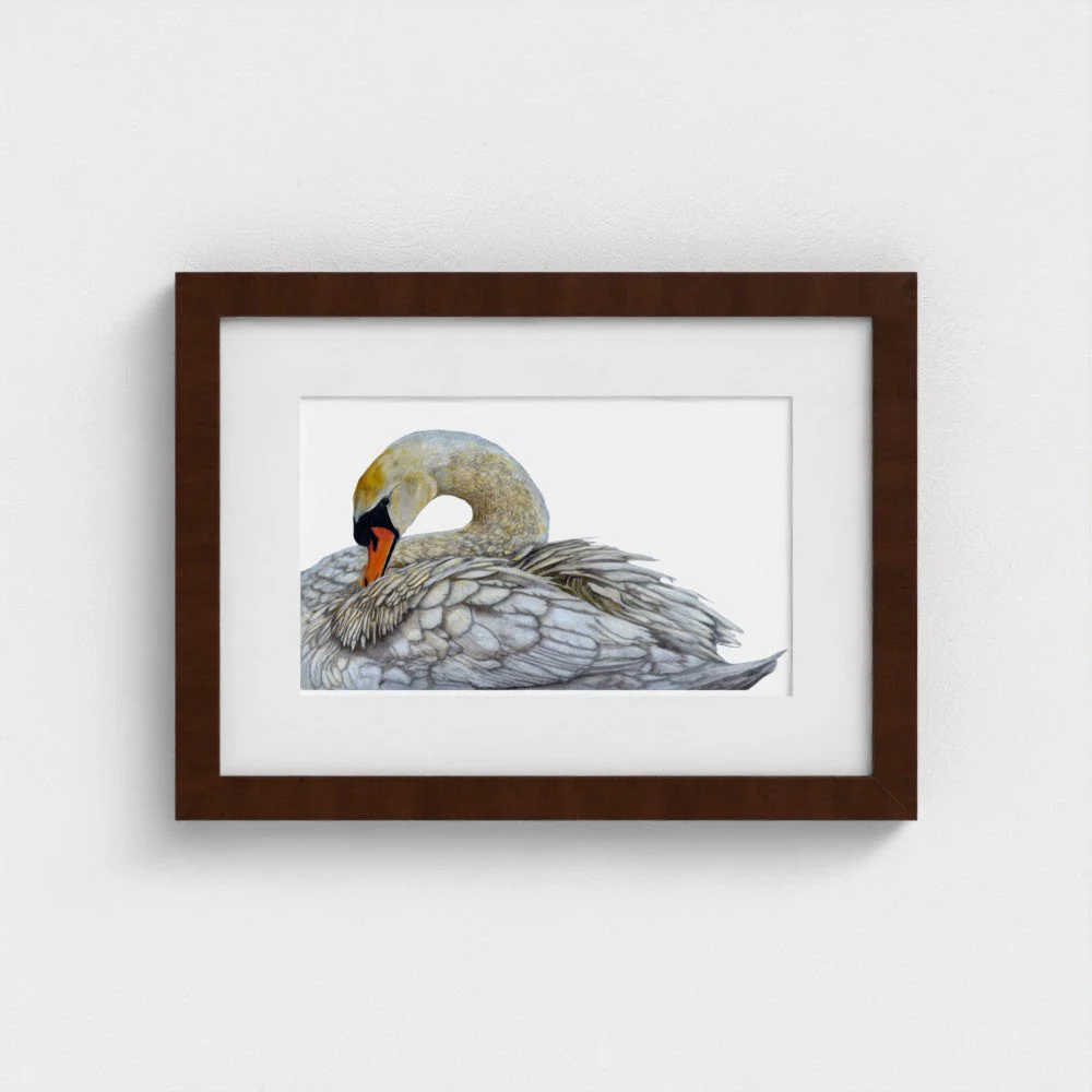 Swan Print - Image 14