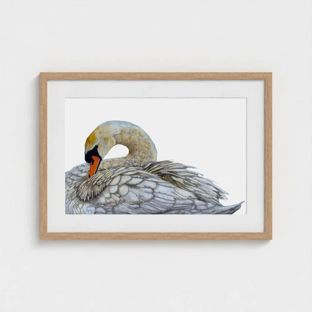 Swan Print - Image 3
