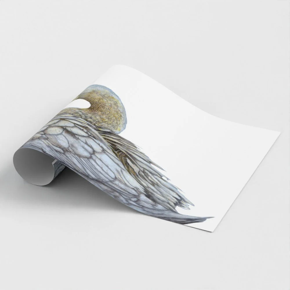 Swan Print - Image 6
