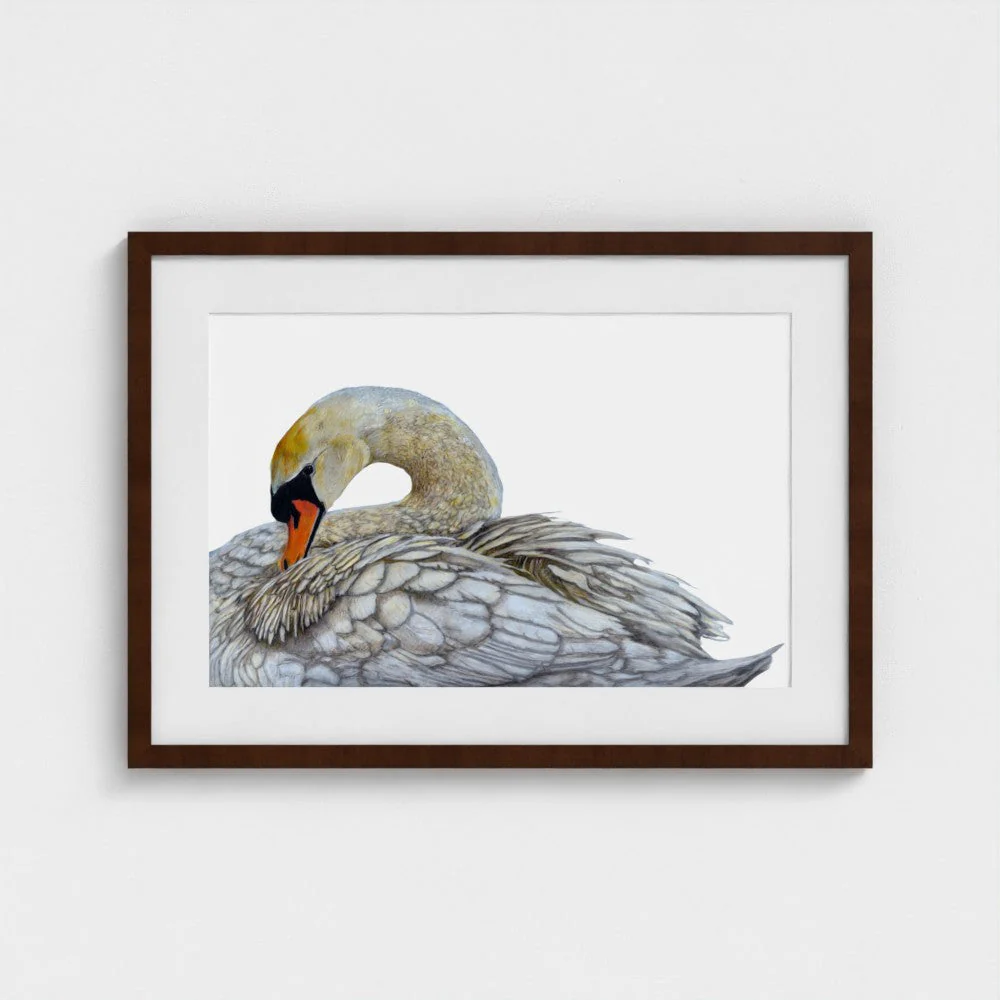 Swan Print - Image 8