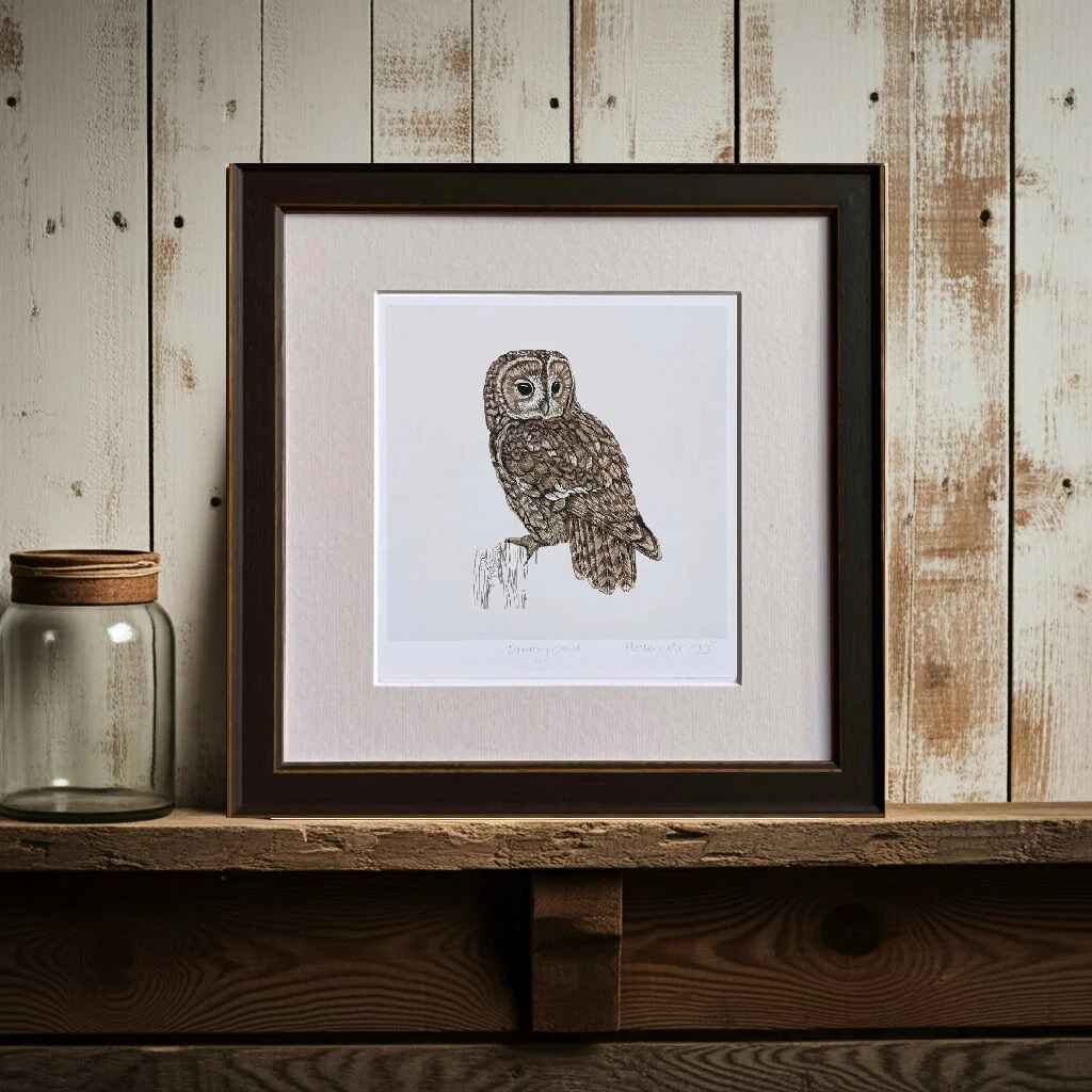 Tawny Owl White -Signed and mounted Giclée Art Print