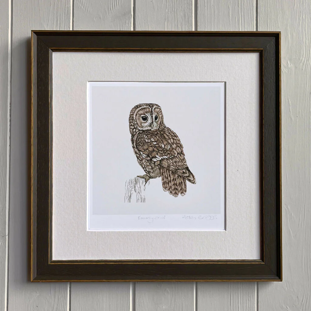 Tawny Owl White -Signed and mounted Giclée Art Print - Image 2