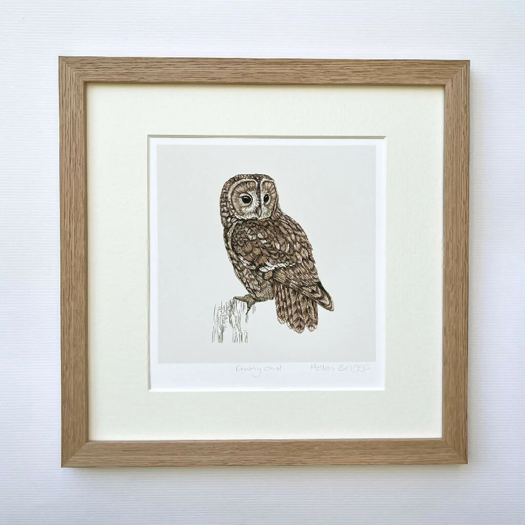 Tawny Owl White -Signed and mounted Giclée Art Print - Image 5