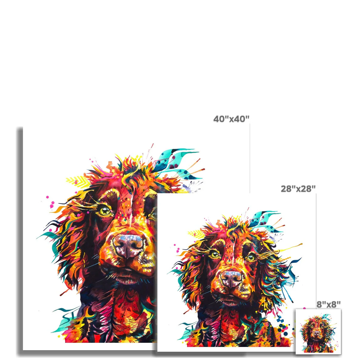 Teddy the Cocker Spaniel Fine Art Print - Image 3