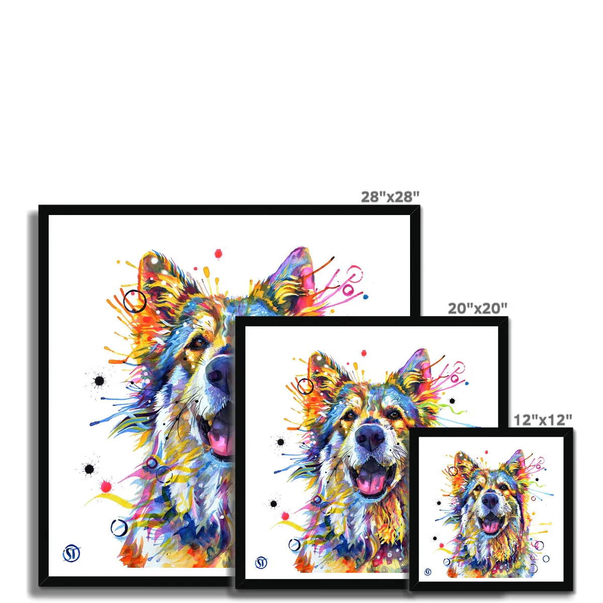 Teddy the German Shepherd Framed Print - Image 8
