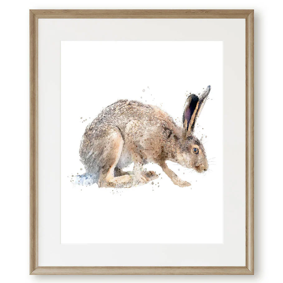 The Fine Art Hares Collection - Image 4