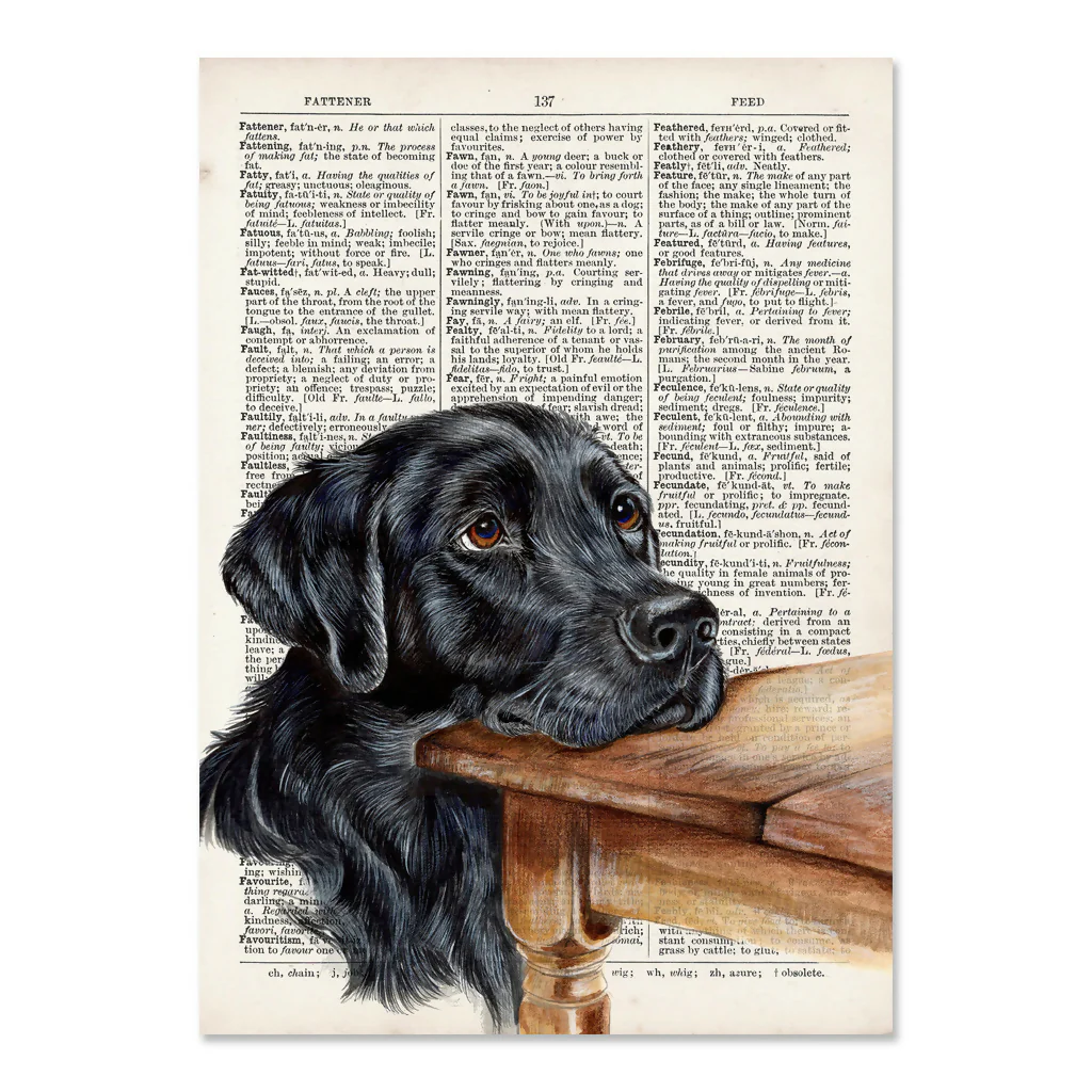 The Labrador - Begging - Print - Image 3