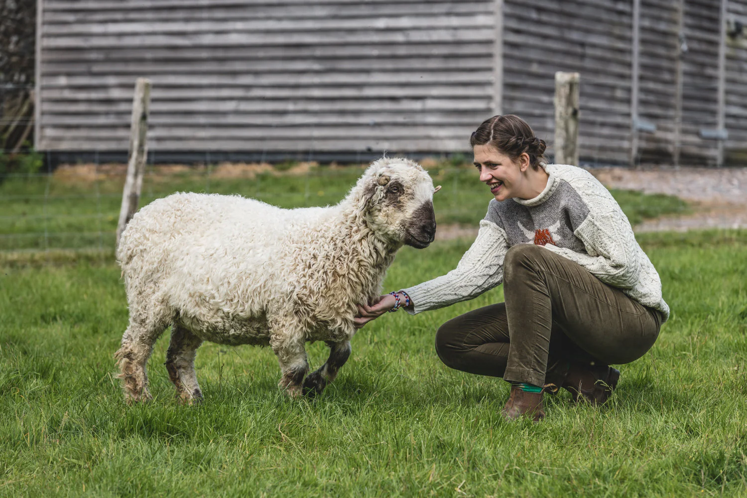 The Pilton - Highland Cow Knitted Jumper - Image 2