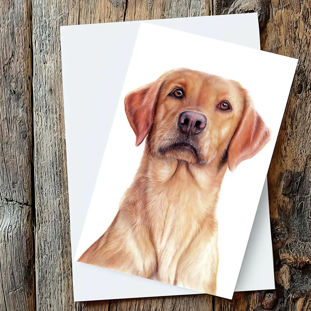 Three Gorgeous Greeting Cards - Image 3