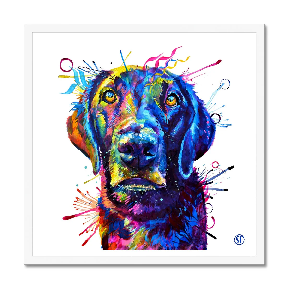 Tommy the Labrador Framed Print - Image 2