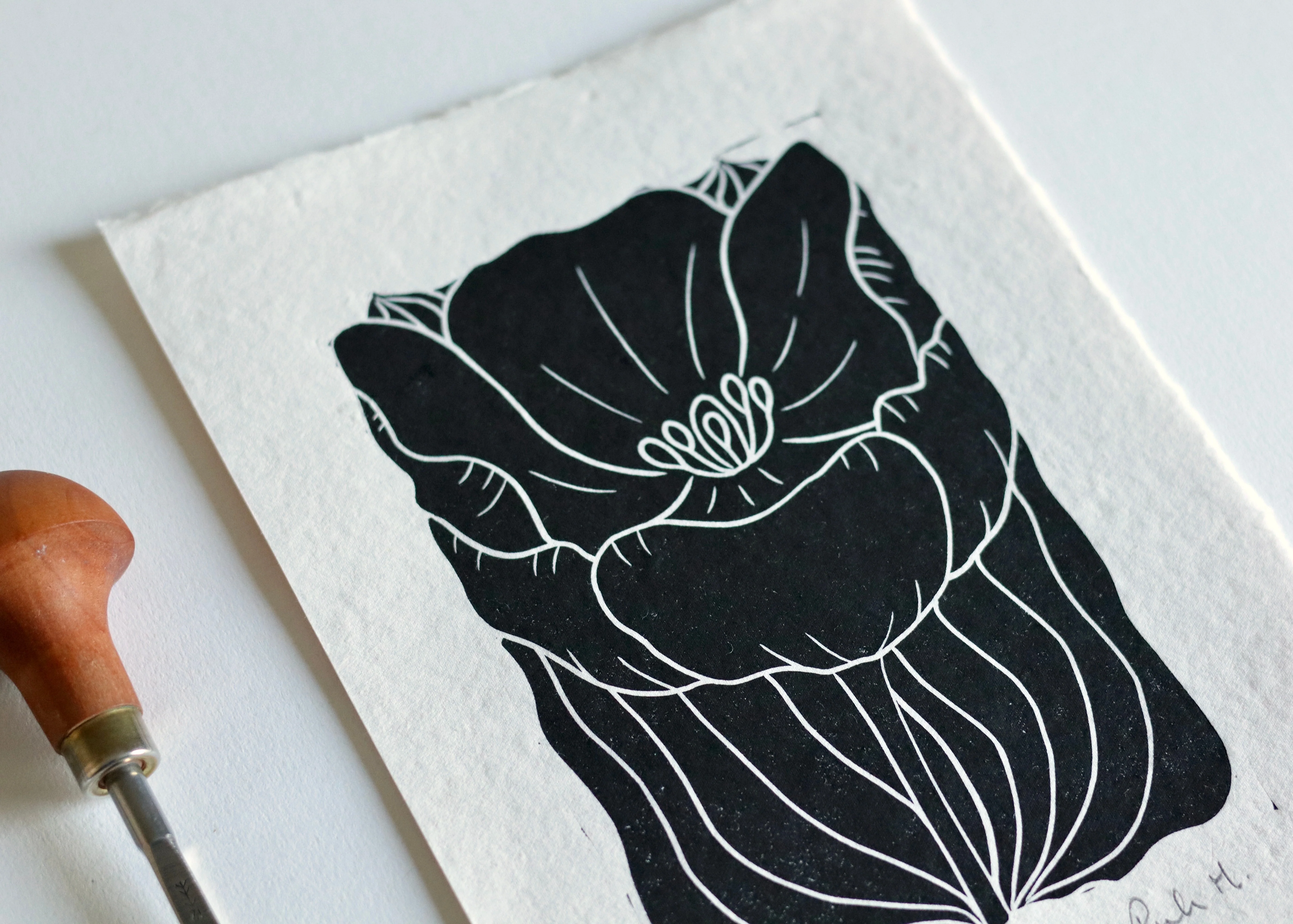 Tulip in Bloom Linocut Print | Handprinted A5 Art Print on Cotton Rag Paper - Image 6