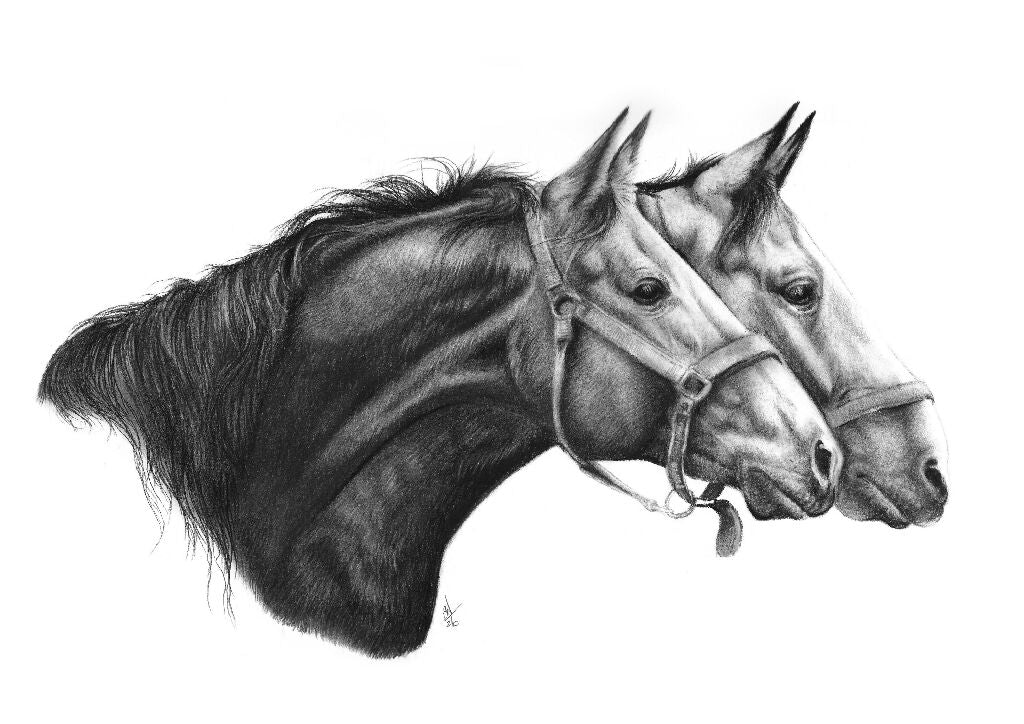 "Two Horses - A5 Greeting Card - Image 2