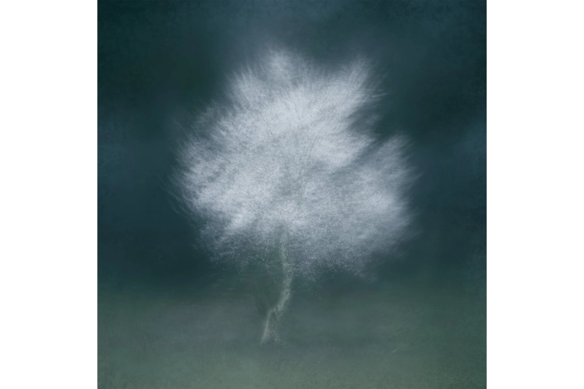 Virva - Calming Artwork for Interiors - Image 4