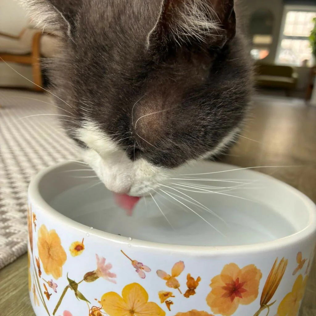 Floral Ceramic Dog & Cat Bowl - Image 3