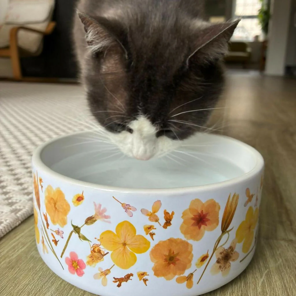 Floral Ceramic Dog & Cat Bowl - Image 5