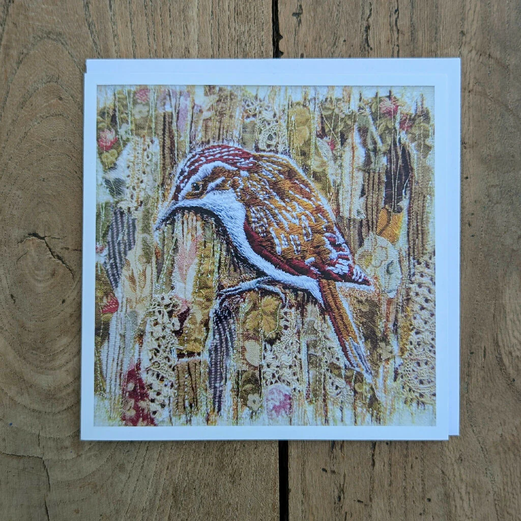 Woodland Birds Card Set of 4 - Image 5